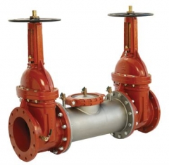 Complete Ames 2000SS Backflow Preventers