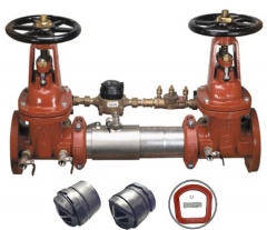 Ames Colt 300 Backflow Preventers and Parts