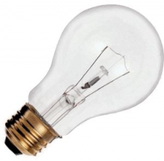A19 Medium Base Bulbs