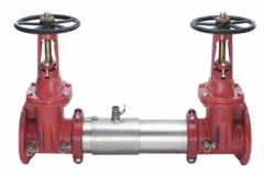 Complete Ames Colt 200 Backflow Preventors