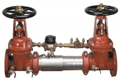 Complete Ames Colt 300 Backflow Preventers