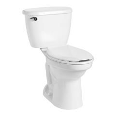 Tank Toilets
