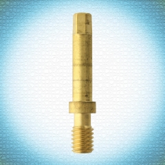 For Niedecken* <span class=&quot;count&quot;>(9)</span>
