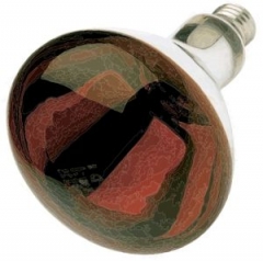 Reflector Heat Lamps