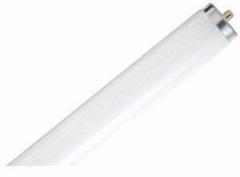 T12 Single Pin/Recessed Double