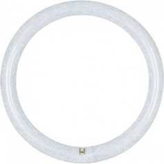 Circlines
