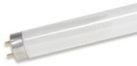 T8 Medium Bi Pin