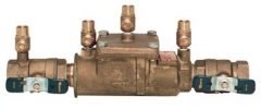 Complete Watts 007 Backflow Preventors