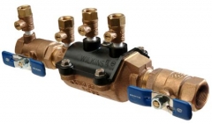 Wilkins 350XL Double Check Assemblies Complete