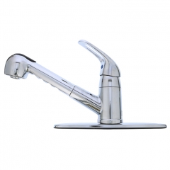Kitchen Faucets w/ Pull Out Spray