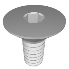Stainless Steel Machine Screw Hex Flat Head