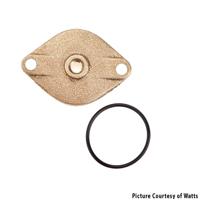 Watts 007M3 3/4" Cover Kit