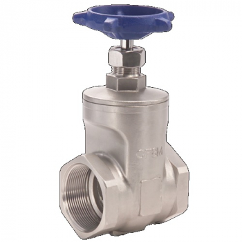 1&quot; SS Gate Valve 300