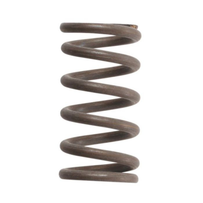 Kohler Pedal Valve Spring
