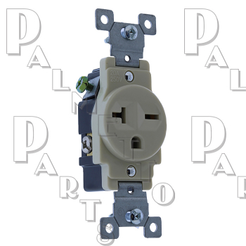 250V Single Receptacle IVORY