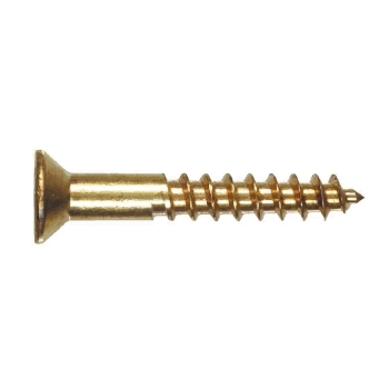 #6 Brass Wood Screw Philips