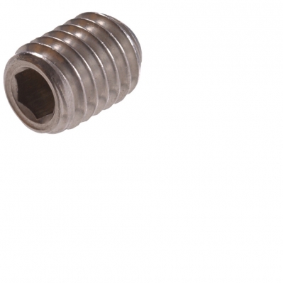 1/4-20 x 1/4" Socket Set Screws -SS