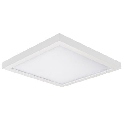 5" Square Ceiling and Wall Mount