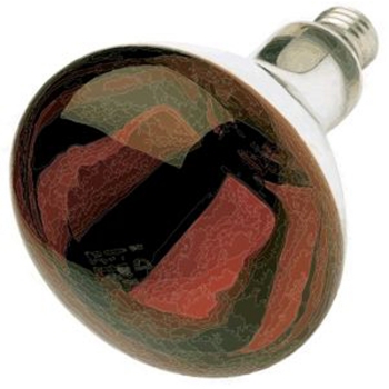250W BR40 Red Heat Lamp Medium Base