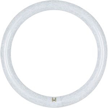 16W LED T9 12&quot; Circline 4 Pin 4K Bypass
