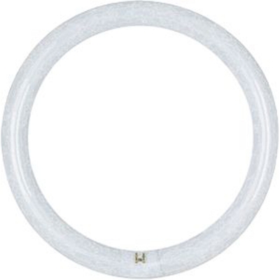 16W LED T9 12" Circline 4 Pin 4K Bypass