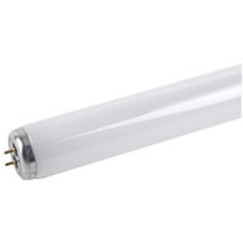 18&quot; F15T12CW Fluorescent Tube Medium Bi-Pin 4200K