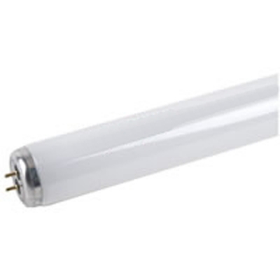 48" F40T12/CW  Flur Tube