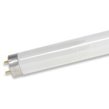 18&quot; F15T8/CW Fluorescent Tube Mini Bi-Pin