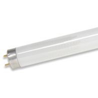 36" F25/741/ECO T8 4100K Fluorescent Tube Medium Bi-Pin