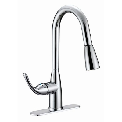 Single Lever Kitchen w/ Pull Down Spout - Chrome