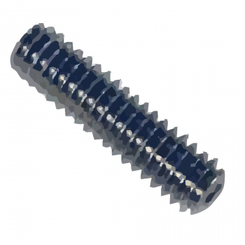 Bradley Set Screw for Thermostatic Shower Valve