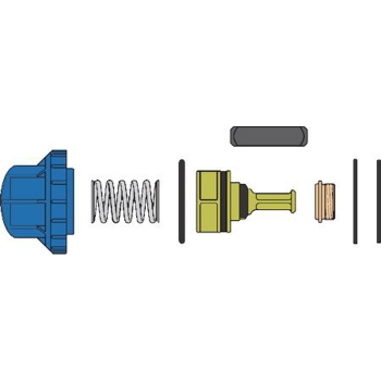 Bradley Foot Valve Kit<BR>for Valves Made After 1/2003