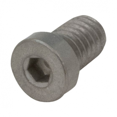 Chicago Faucets Screw
