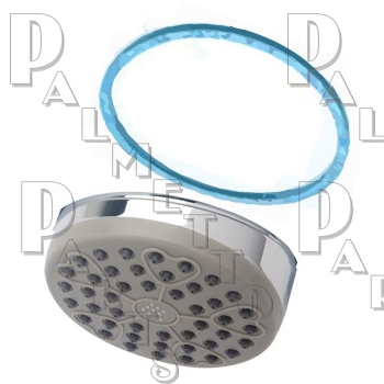 Symmons Showerhead Face &amp; Gasket