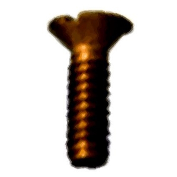 Zurn Vandal Proof Brass Floor Drain Screws