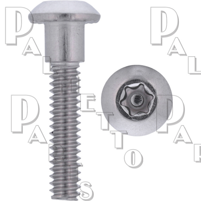 6 Lobe Partition Shoulder Screws SS