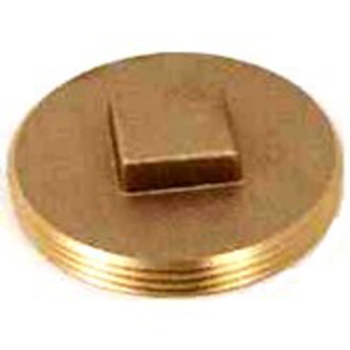 C.O. Plug 1-1/2&quot; Square Head