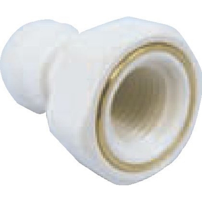 Polypropylene Female Adapter 3/8IN Push x 1/4IN NPTF