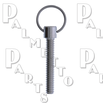 Overflow Plate Screw -With Ring -Chrome